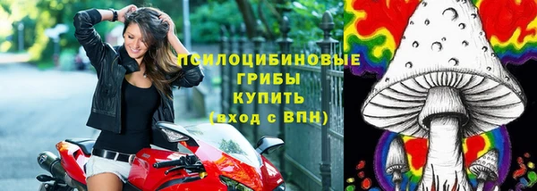 дурь Билибино