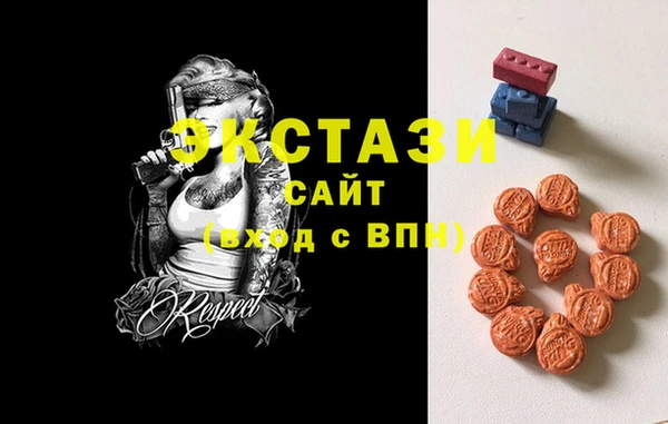 хмурый Бикин